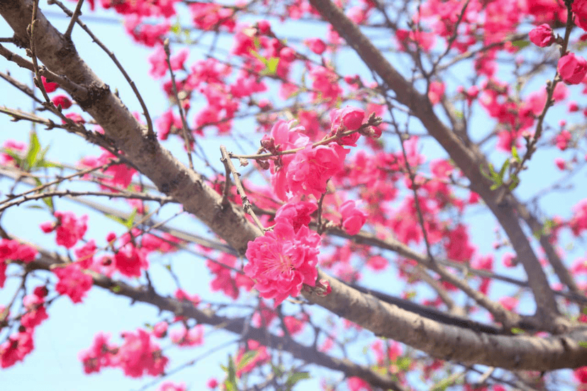 photo-4_98db888c