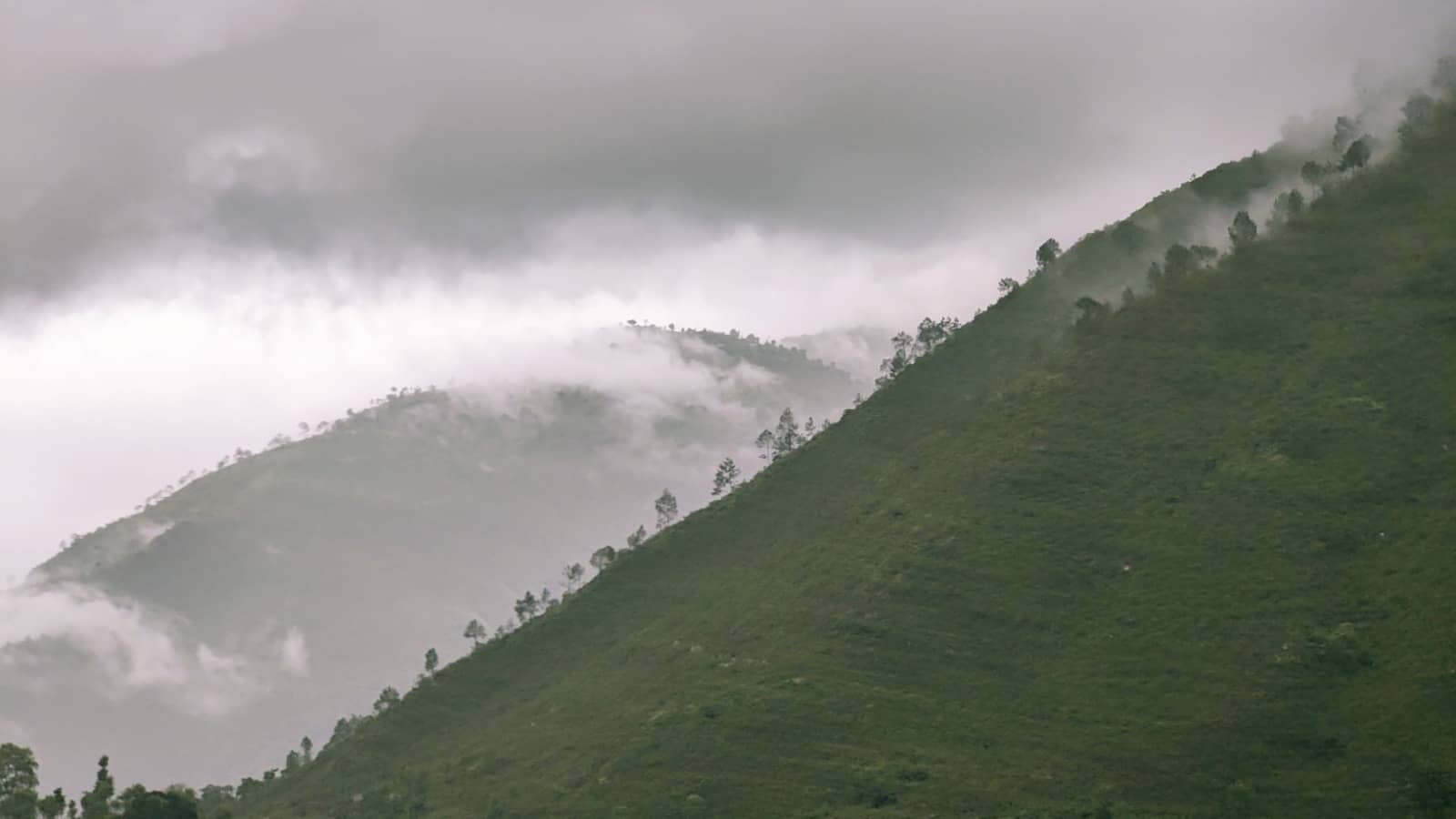 तराई भू–भागका अधिकांश स्थानमा हुस्सु