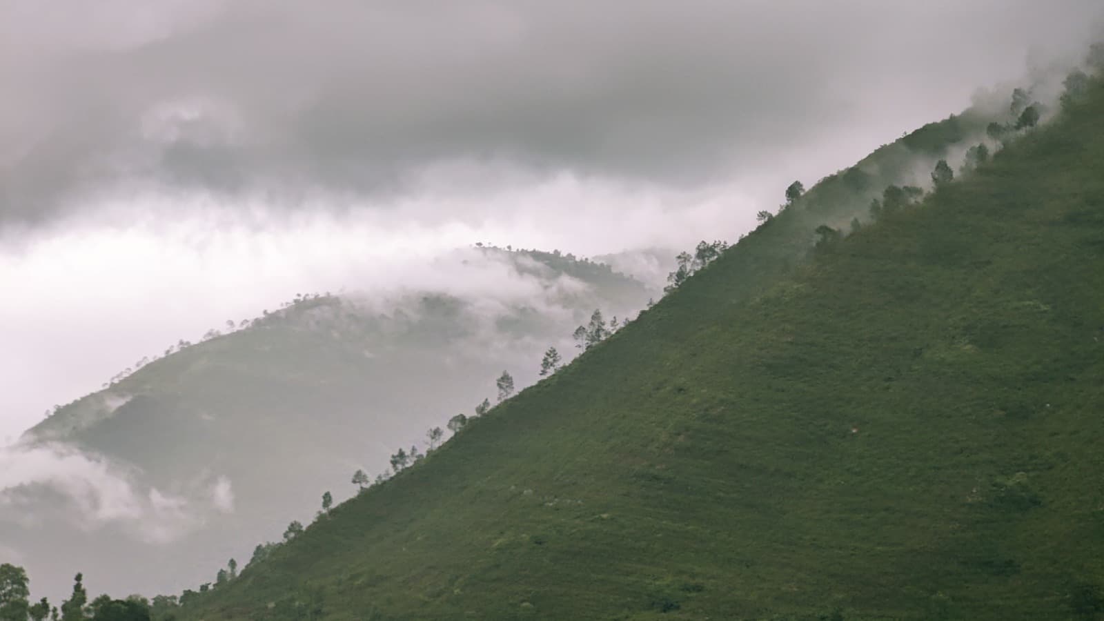 तराई भू–भागका अधिकांश स्थानमा हुस्सु
